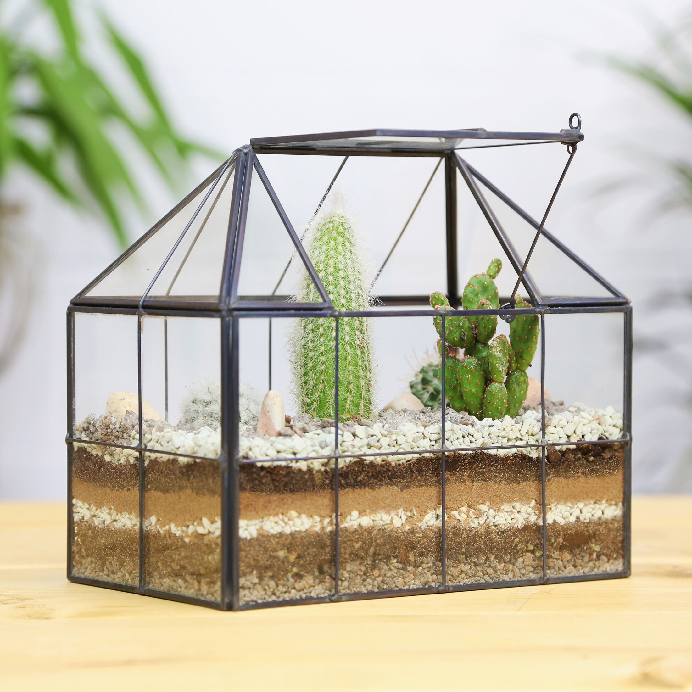 Edwardianisches Gewächshaus-Pflanzenterrarium