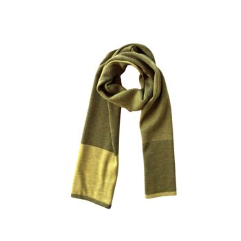 Foulard à boucle vert mousse/vert kiwi 2