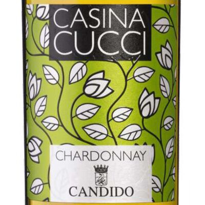 Candido - CASINA CUCCI - Chardonnay - IGT Salento blanc