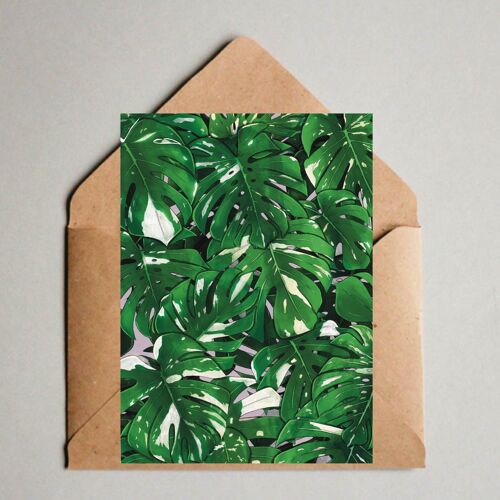 Postkarte / A6 Print -  Monstera deliciosa Blätter