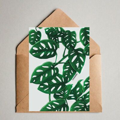 Cartolina / Stampa A6 - Monstera adansonii variegata, stampa di disegni