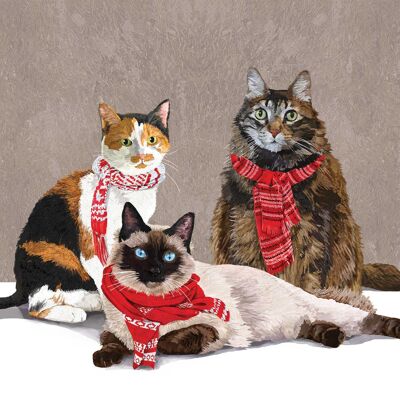 Serviette Chats Foulard 25x25