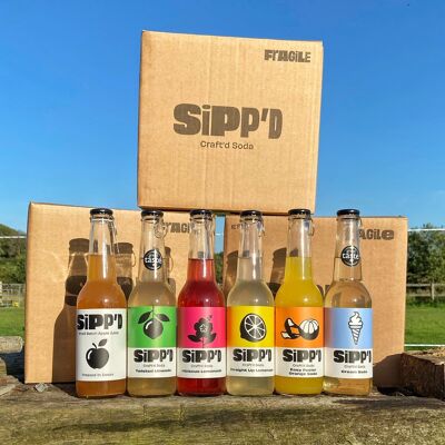 Sipp'd Mix Bundle (Soda and juice)