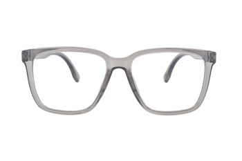 Lunettes de lecture Ear2Ear 21710 Newton 2