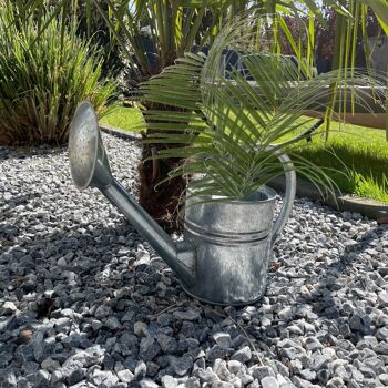 Arrosoir en zinc 4l - petit arrosoir pour plantes d'intérieur et jardin idéal pour arroser ou comme décoration vintage. L'arrosoir galvanisé avec une grande poignée ergonomique tient parfaitement dans la main 9