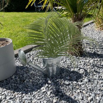 Arrosoir en zinc 4l - petit arrosoir pour plantes d'intérieur et jardin idéal pour arroser ou comme décoration vintage. L'arrosoir galvanisé avec une grande poignée ergonomique tient parfaitement dans la main 10