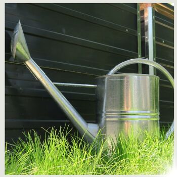 Arrosoir de 10 litres pour le jardin avec douche - idéal pour arroser ou comme décoration vintage 2