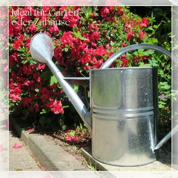Arrosoir de 10 litres pour le jardin avec douche - idéal pour arroser ou comme décoration vintage 3