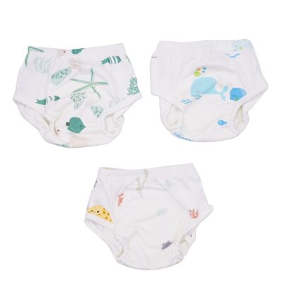3 potty training pants – Ocean