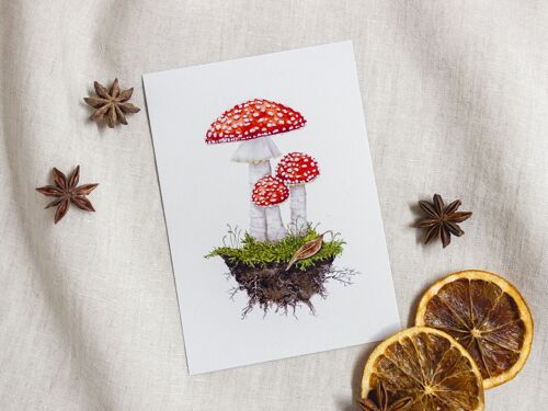 Postkarte Herbst Fliegenpilze DIN A6, Aquarellmotiv botanische Illustration, umweltfreundlich