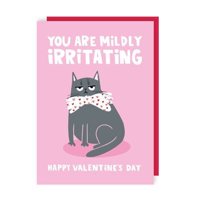 Lot de 6 cartes de Saint-Valentin amusantes avec chat grincheux