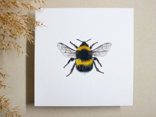 Postkarte quadratisch Hummel/ Biene, 14,8cm x 14,8cm, realistische Zeichnung, umweltfreundlich