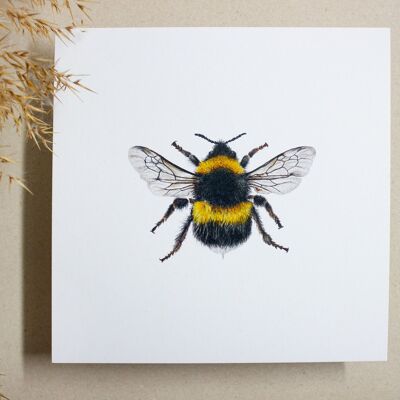 Postcard square bumblebee/bee, 14.8cm x 14.8cm, realistic drawing, environmentally friendly