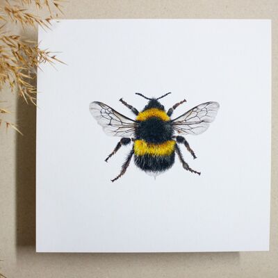 Postkarte quadratisch Hummel/ Biene, 14,8cm x 14,8cm, realistische Zeichnung, umweltfreundlich