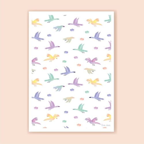 Affiche A3 et A4 Oiseaux blancs