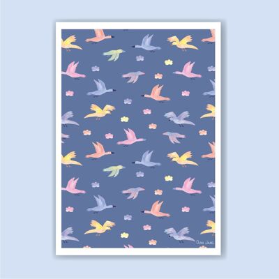 Affiche A3 et A4 Oiseaux bleus