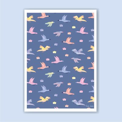 A3 und A4 Blaue Vögel Poster