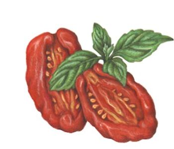Pesto Rosso (Sauce Bio)