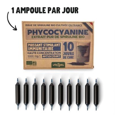French organic phycocyanin - without preservative - 5000 mg/l - 10 ampoules - 10 days of treatment