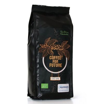 Coffee for Future, 250g, grains entiers, bio