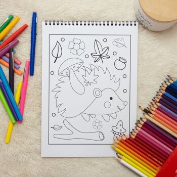 Livre de Coloriages pour enfants, animaux mignons de la forêt en Automne 3