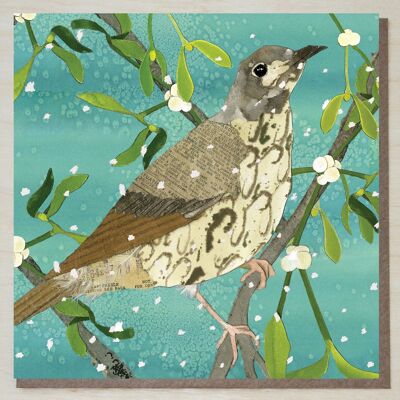 Christmas Card (mistle thrush)