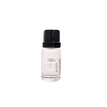 Diluant pour vernis GEL EVOLUTION 10ml