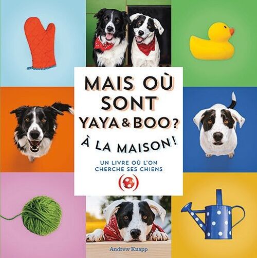 Mais sont Yaya et Boo ? À la maison ! / Cherche et trouve photos / Chiens / Livre enfant