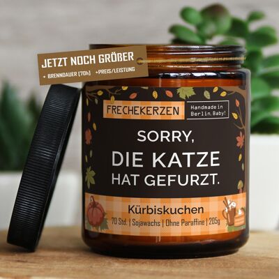 Geschenkkerze Duftkerze sorry, die katze hat… #6612