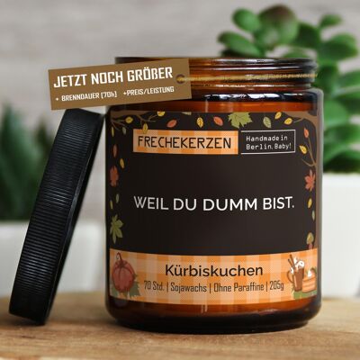 Geschenkkerze Duftkerze weil du dumm bist. #7182