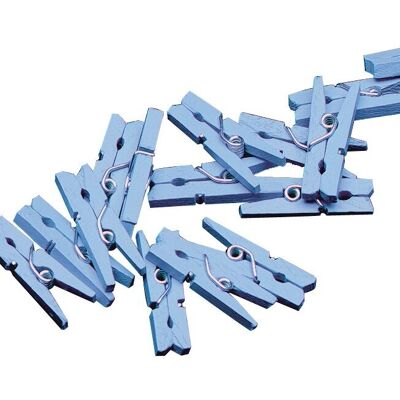 Blue wood pegs OK 0961