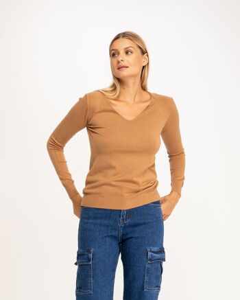 PULL7639_CAMEL 2