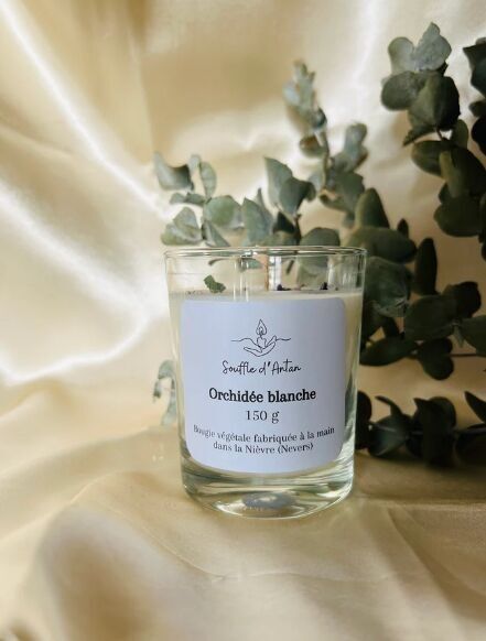 Weiße Orchideenkerze 150g