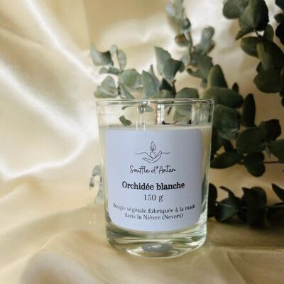 Bougie orchidée blanche 150g