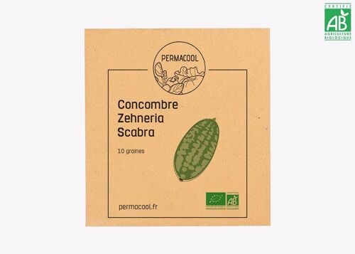 Mini concombre zehneria bio