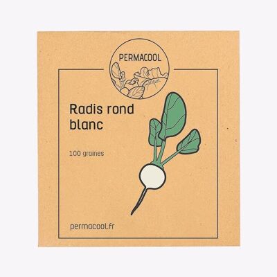 Radis rond blanc