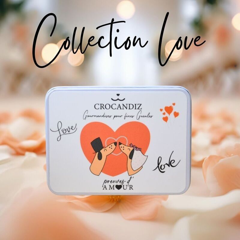 Hundekeksdose - Design "LOVE"