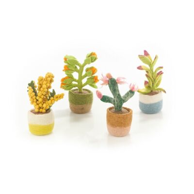 Décoration artificielle de cactus de plantes d'intérieur heureuses en feutre faites à la main