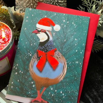The First Day .Christmas Holiday Seasonal Greeting Card. Bird woodland