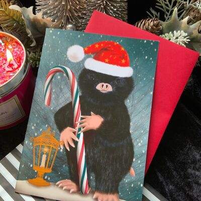 Tis The Season . Christmas Holiday Seasonal Greetings Card