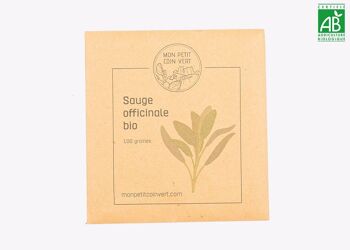 Sauge officinale 1