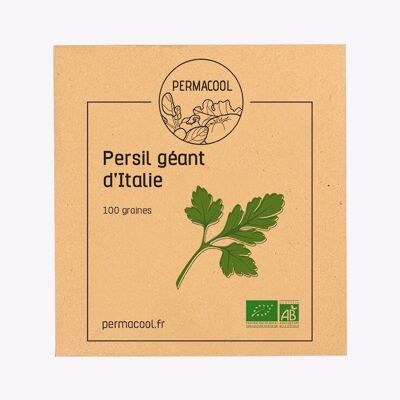 Organic giant Italian parsley
