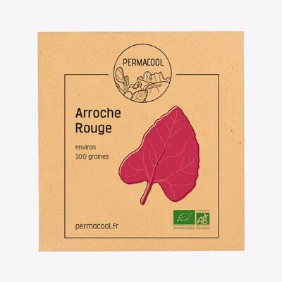 Arroche rouge bio