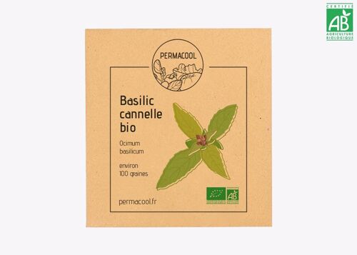 Basilic cannelle