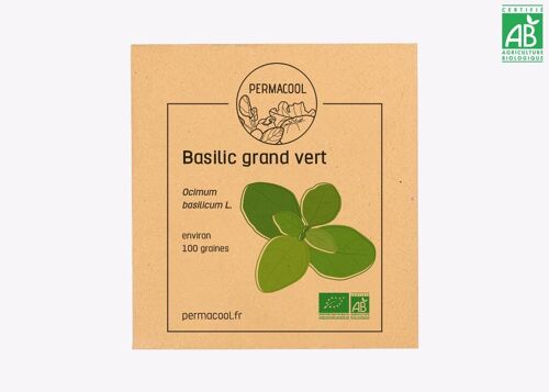 Basilic Grand Vert bio