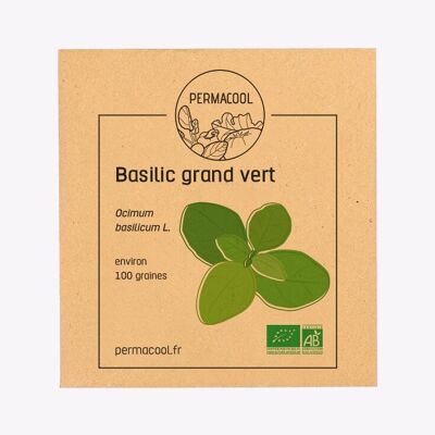 Basilic Grand Vert bio