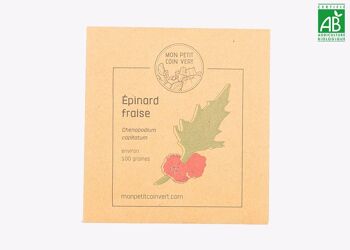 Epinard fraise 1
