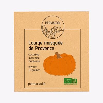 Butternut Squash from Provence