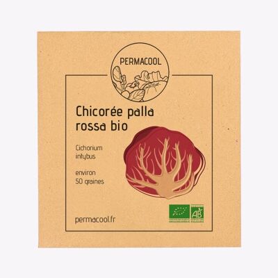 Chicory Palla Rossa