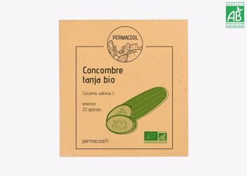 Concombre Tanja 1